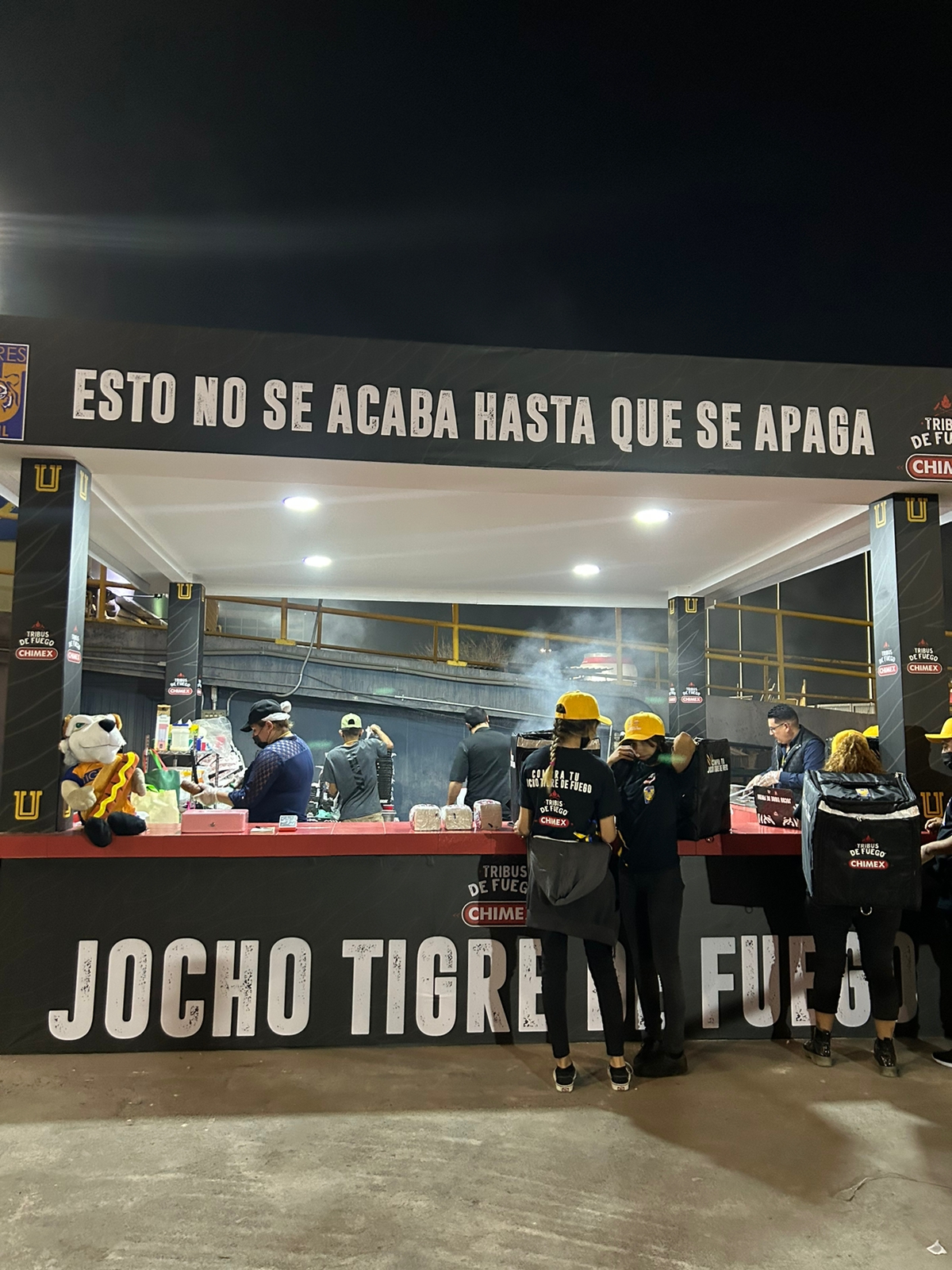 Chimex — Tigres Femenil
