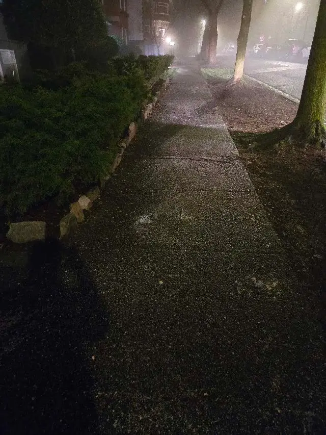 Ice-prevention treatment on a residential walkway in Vancouver’s West End