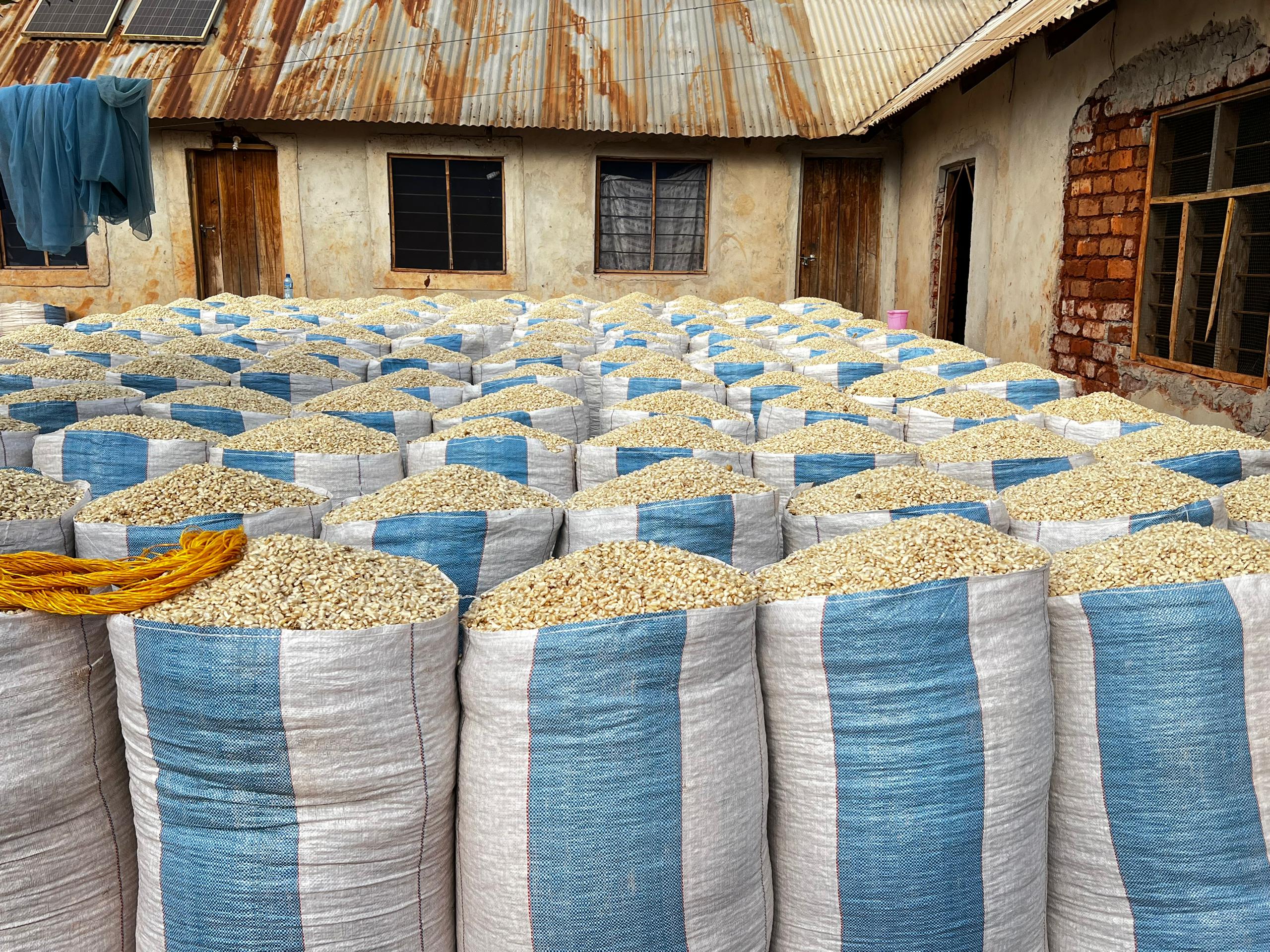 Grain for the kitchen