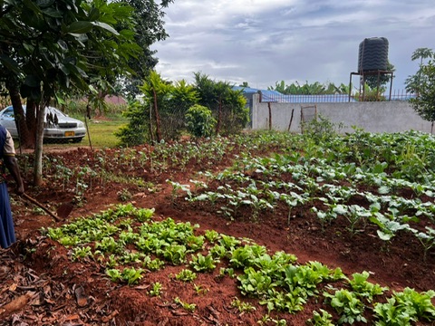 The gardens at UNITAS