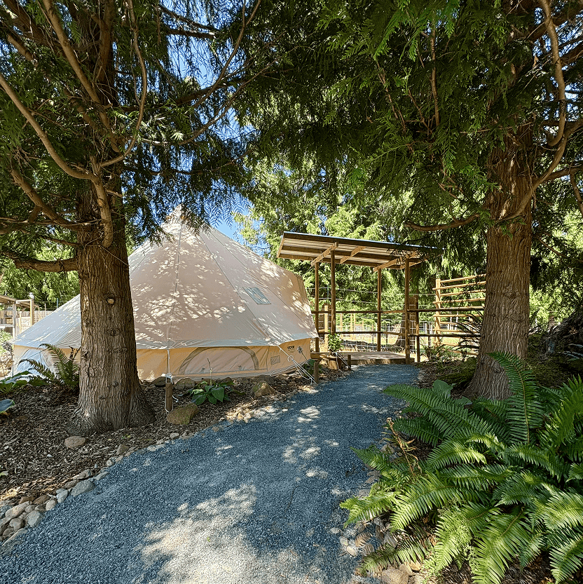 Forest Path