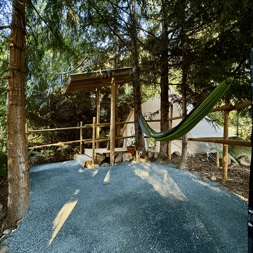 The Property
