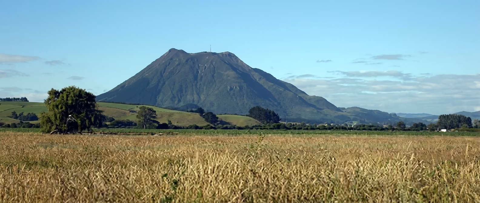 Edgecumbe rural landscape on the Rangitaiki Plains served by Bay Construction for new home builds and Skyline Buildings