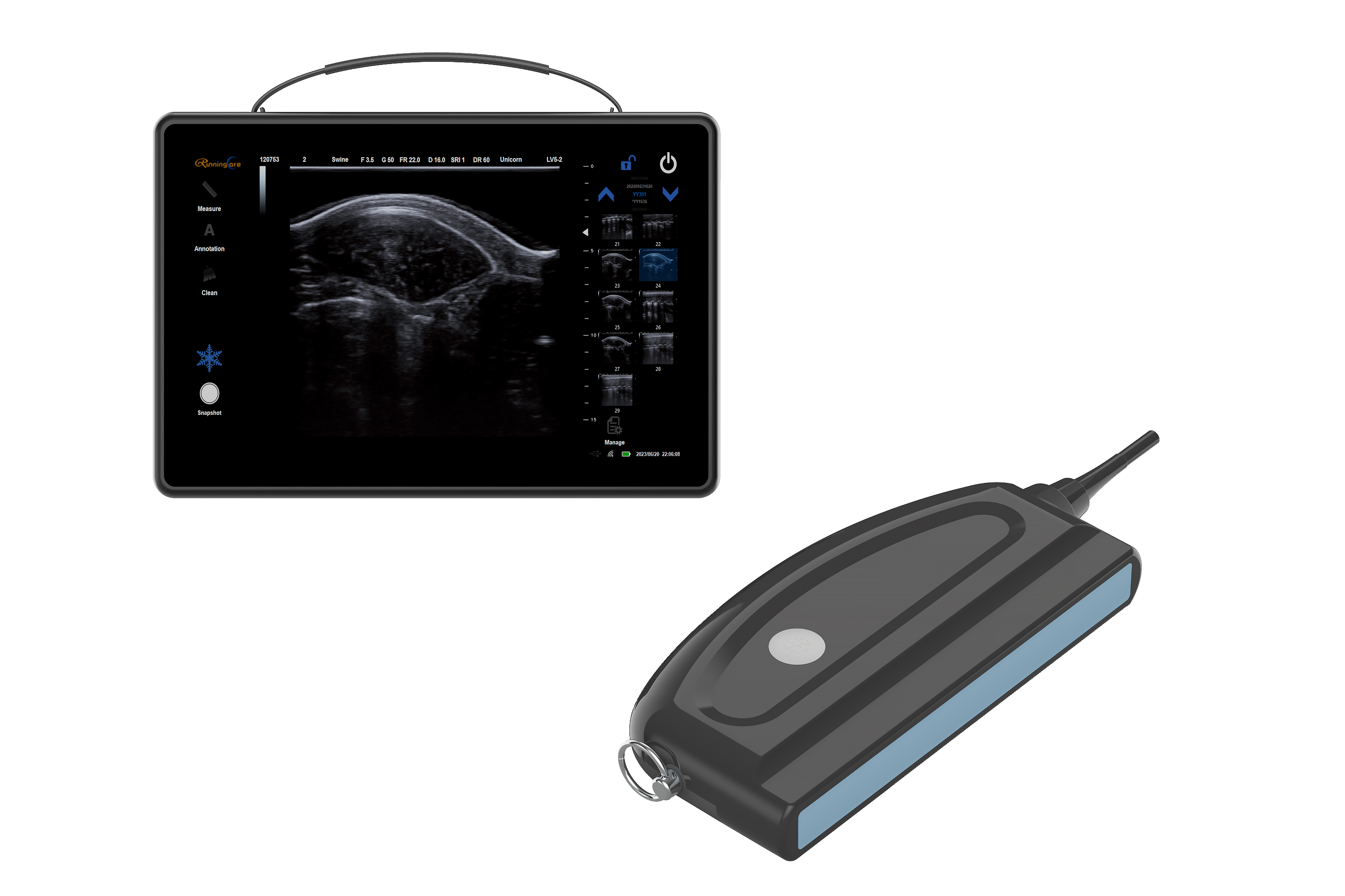portable veterinary backfat&loin measurement equipment for swine,bovine,equine and ovine