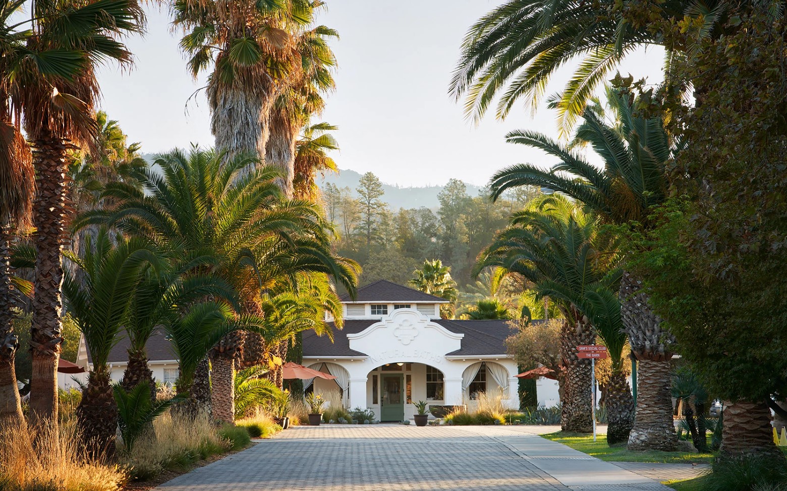 Calistoga