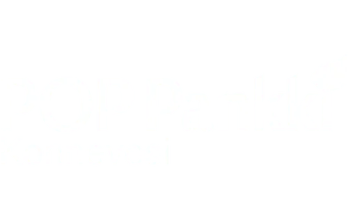 POP Pankki Konnevesi