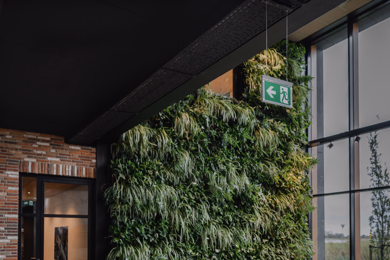 Een bordje voor noodverlichting in een kantooromgeving met veel planten. 