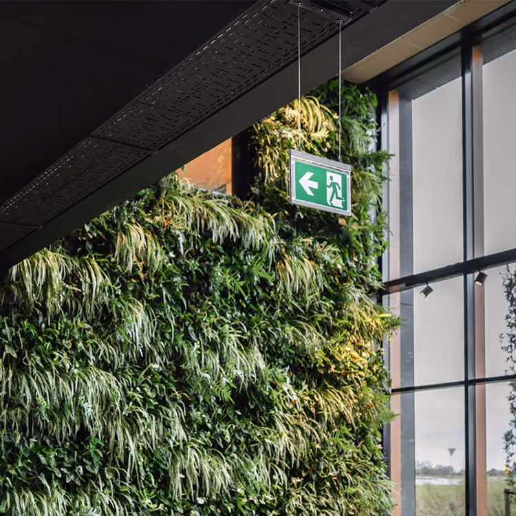 Een bordje voor noodverlichting in een kantooromgeving met veel planten. 