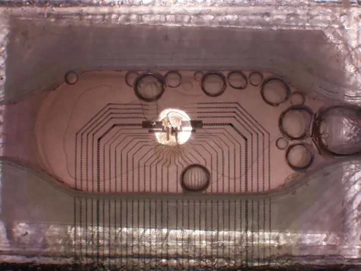 Brain organoid connected to multi-electrode array for biological computing research