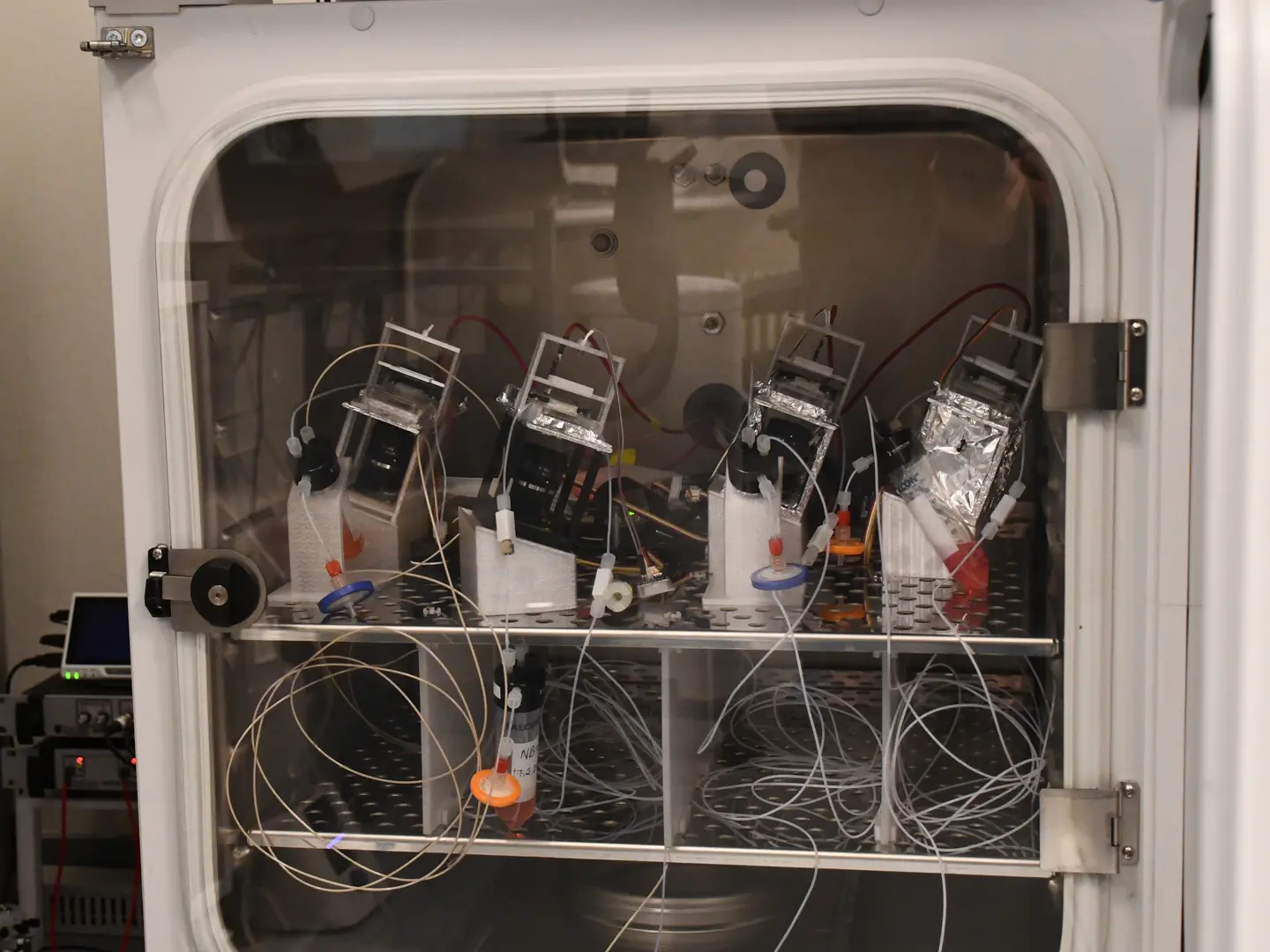 Incubator used for cultivating brain organoids in biological computing experiments