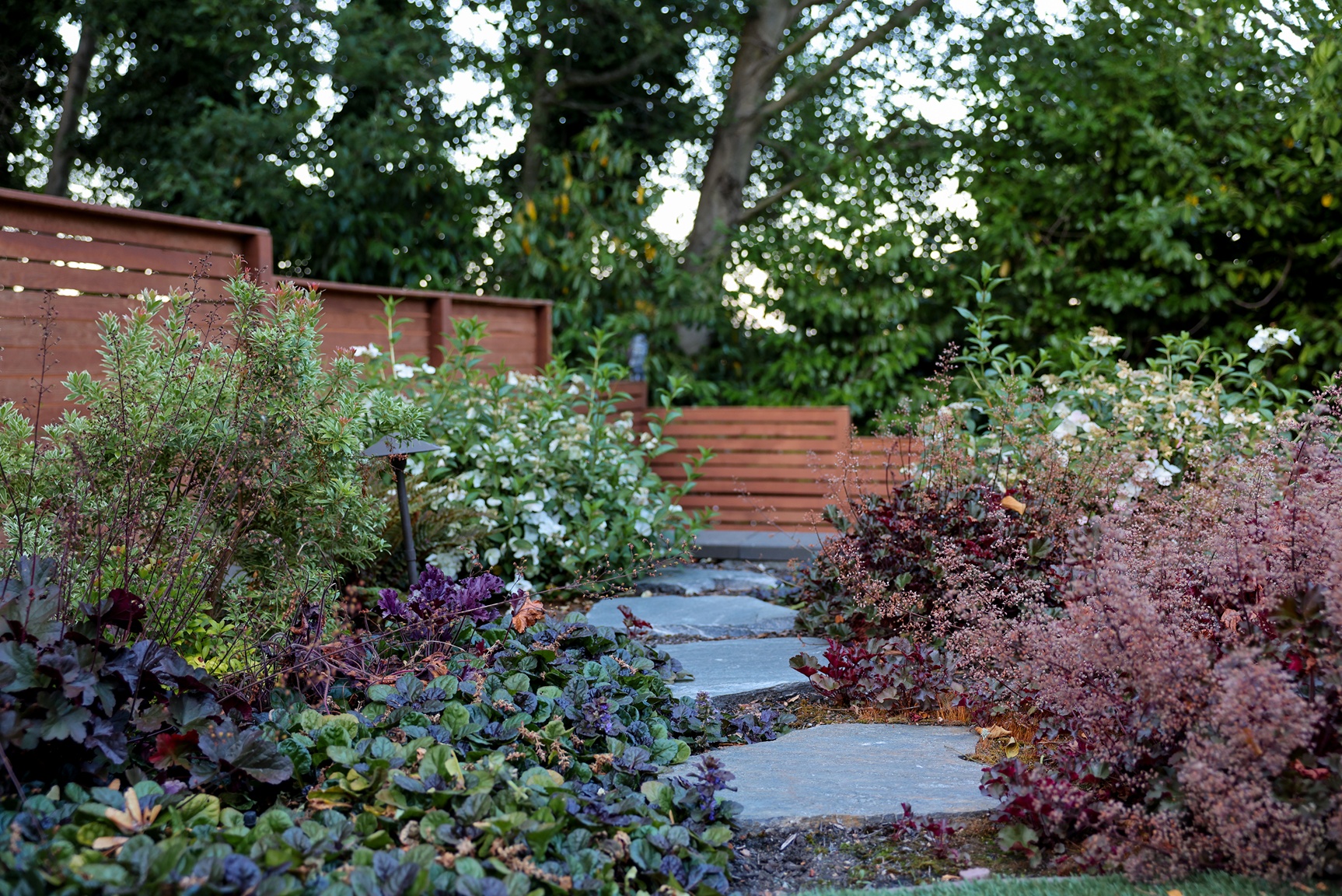 Plants in a Greater Seattle backyard designed by a landscaping company