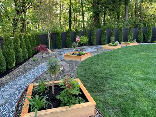 Naturalistic garden with raised planters and arborvitae trees.