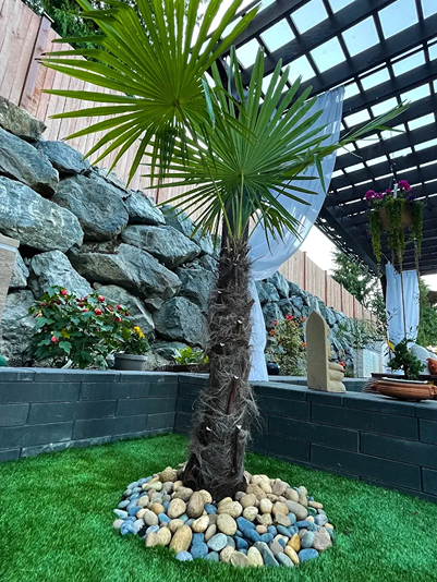 Tree with river rocks around base on Seattle lawn.
