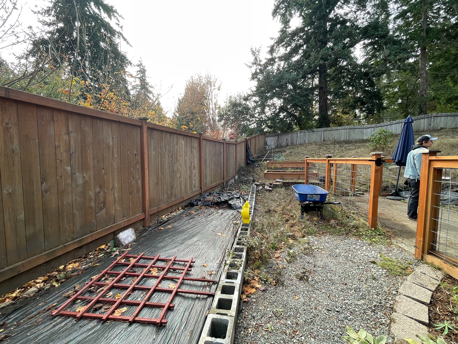 Backyard in Bellevue preparing for landscaping services