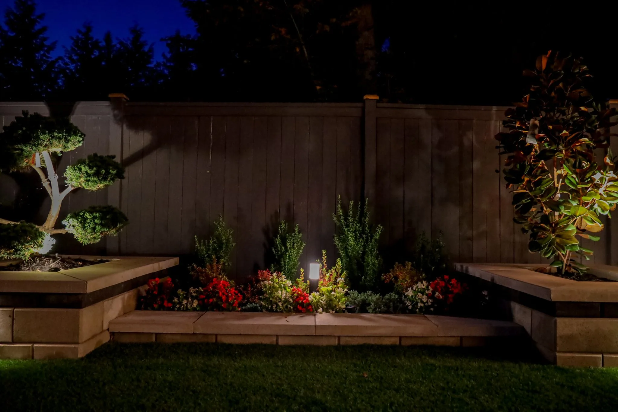 A beautifully landscaped backyard at night featuring illuminated raised garden beds with red flowers, trimmed shrubs, a sculpted bonsai tree, and a wooden privacy fence lit by a garden path light.