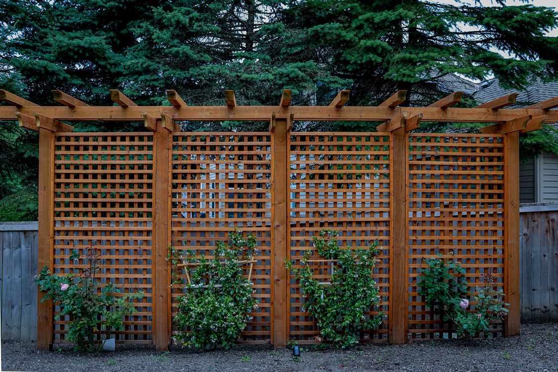 Backyard Transformation After