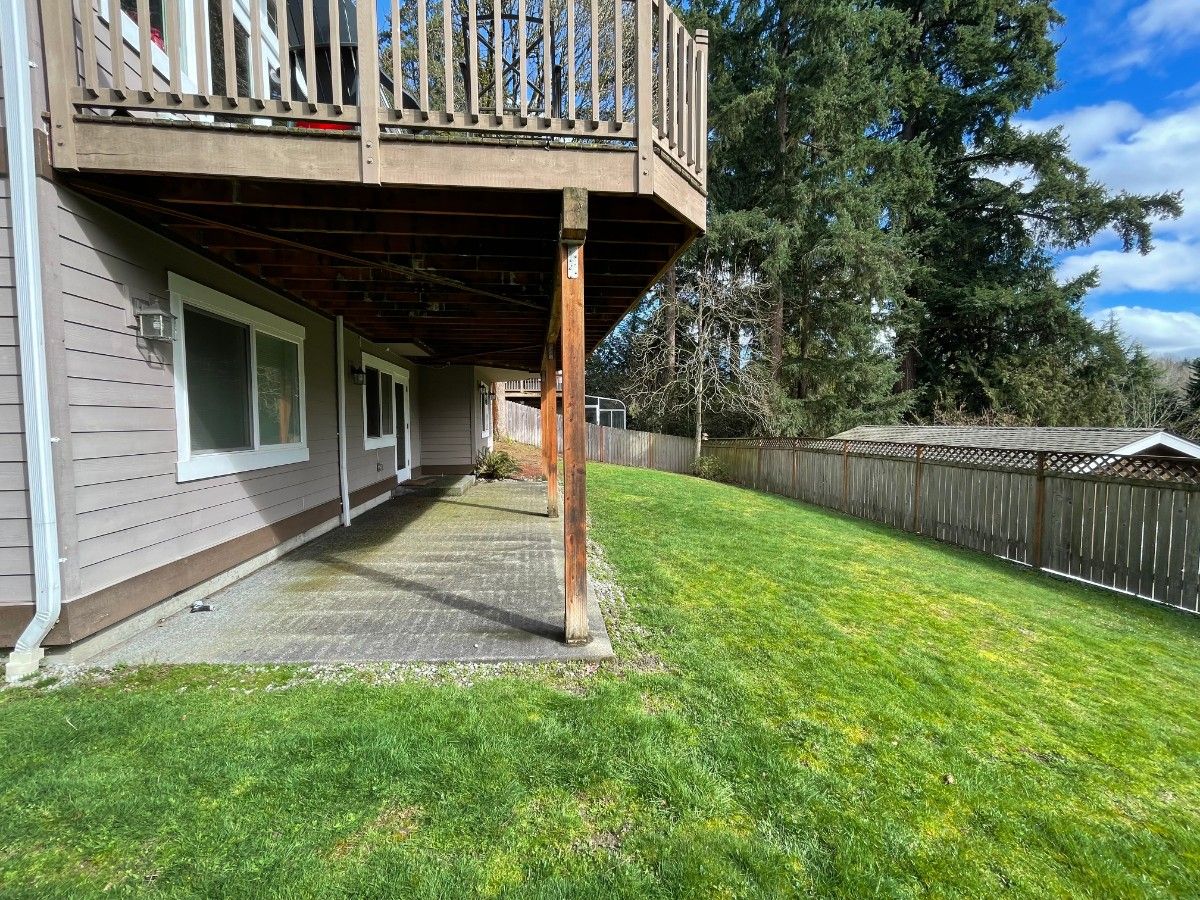 Backyard Transformation Before