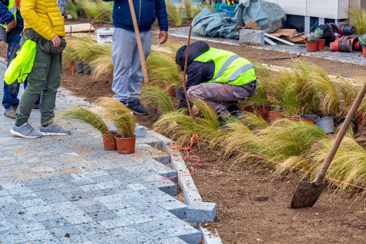 Landscape construction crew during a Seattle backyard project