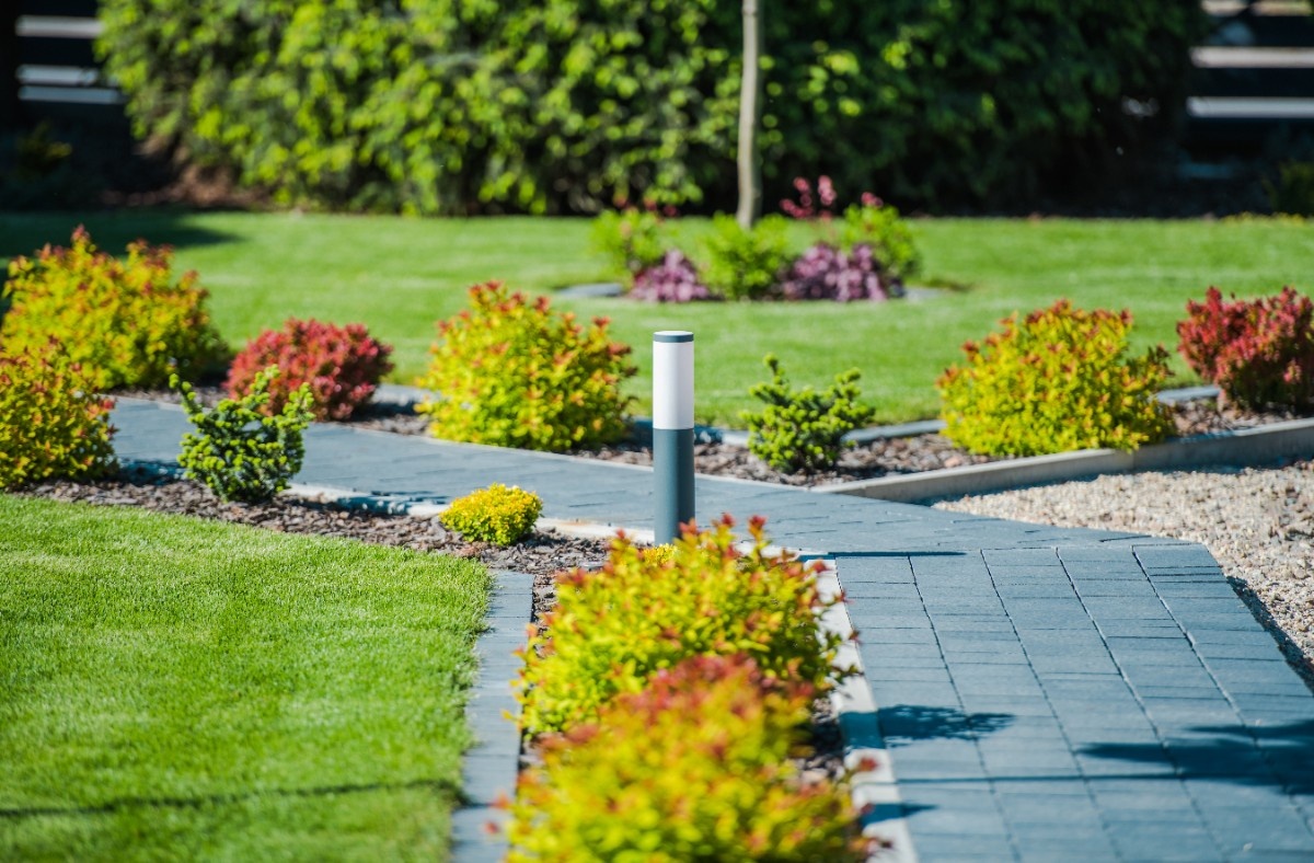 Native PNW plants and evergreen shrubs lining a garden walkway in a Seattle landscape