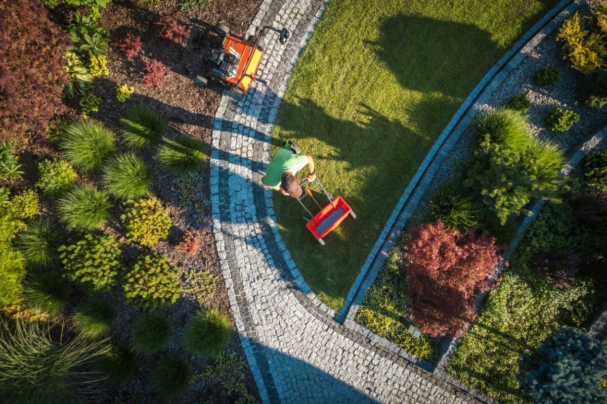 Homeowner pruning plants while maintaining a landscaped Pacific Northwest backyard
