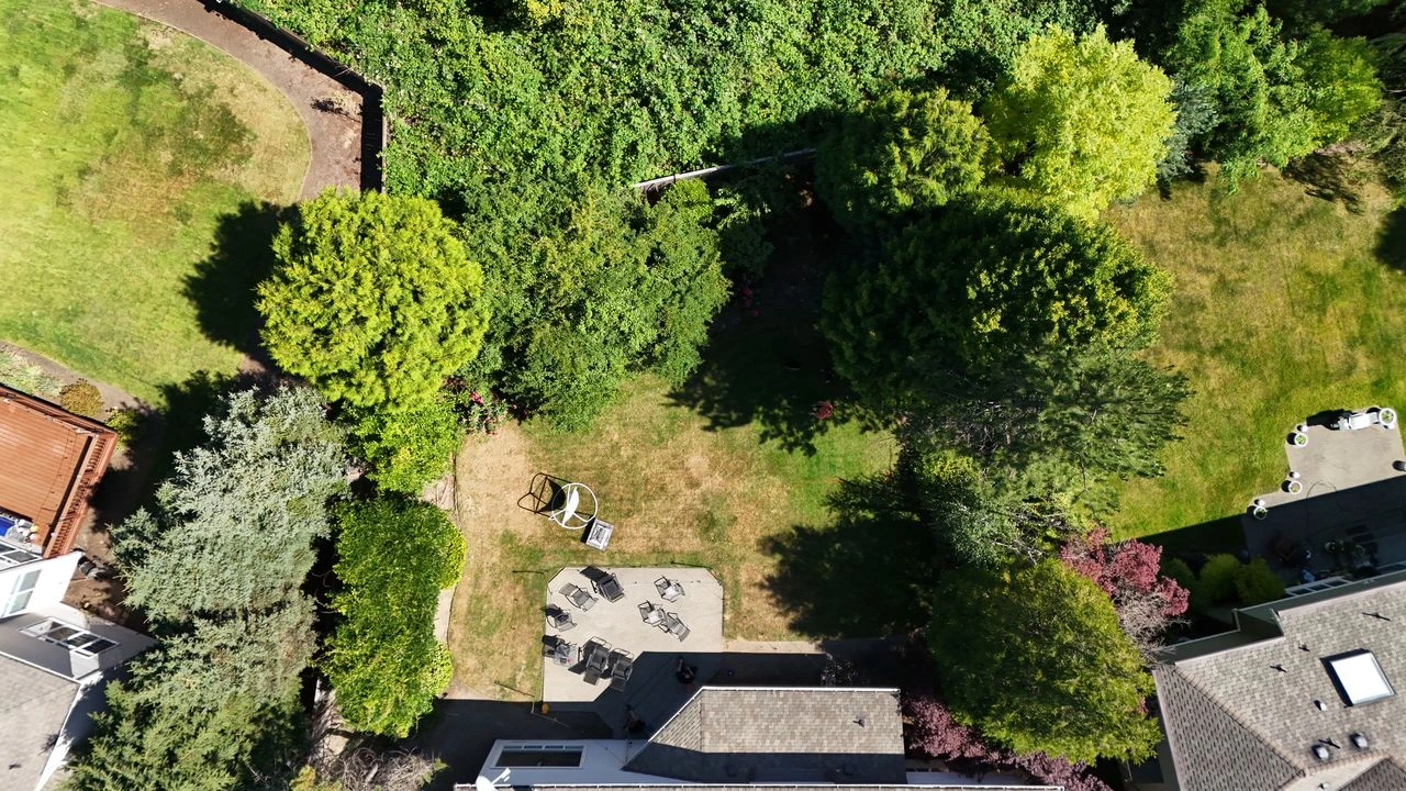 Before neglected backyard in Bothell Washington awaiting landscape renovation