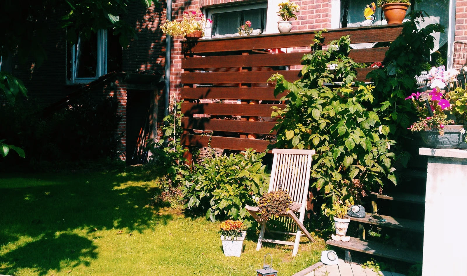 Comparison of structural and natural privacy solutions on a Kirkland residential property balancing neighbor screening with lake view preservation