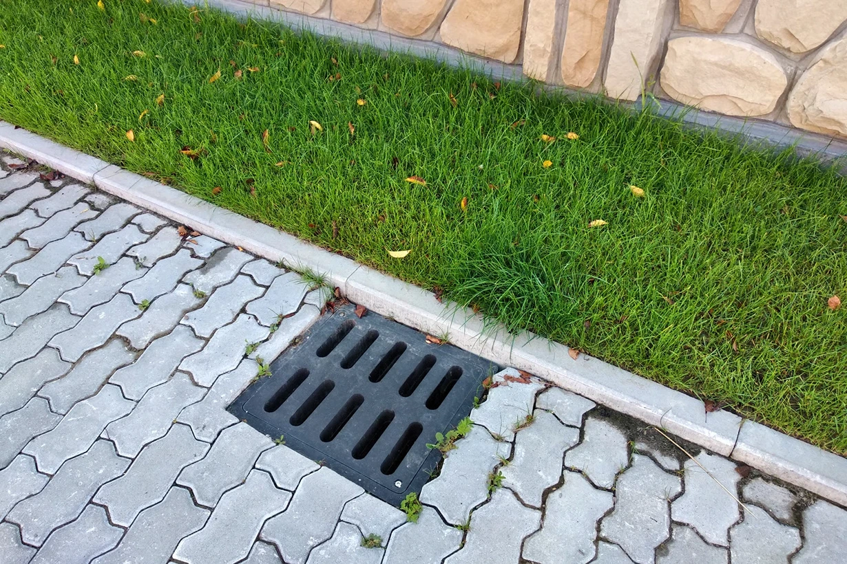 Professional backyard drainage system on an Eastside Seattle property with catch basins, grading, and a rain garden