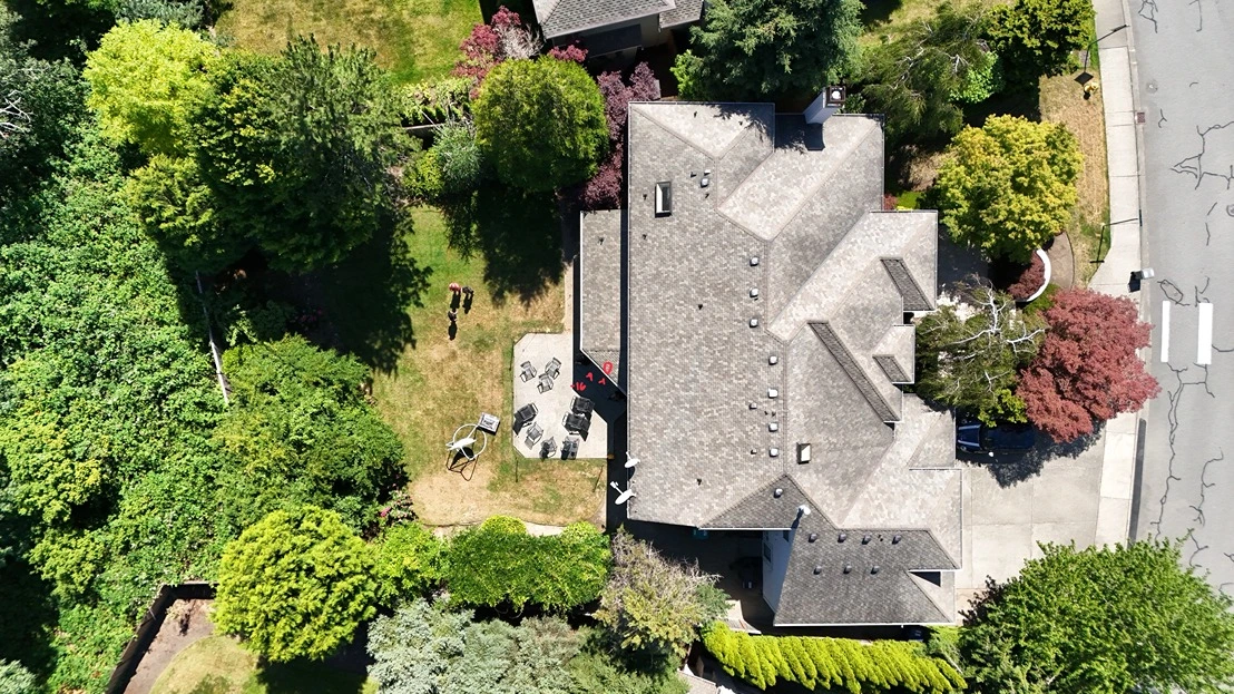 Aerial view of a Newcastle residential property with dense trees and a basic yard before renovation.
