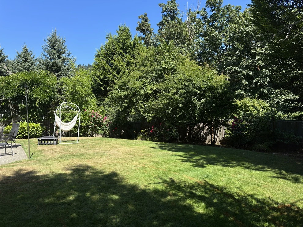 An overgrown Newcastle lot with a slope before an Angkorscape landscape project.