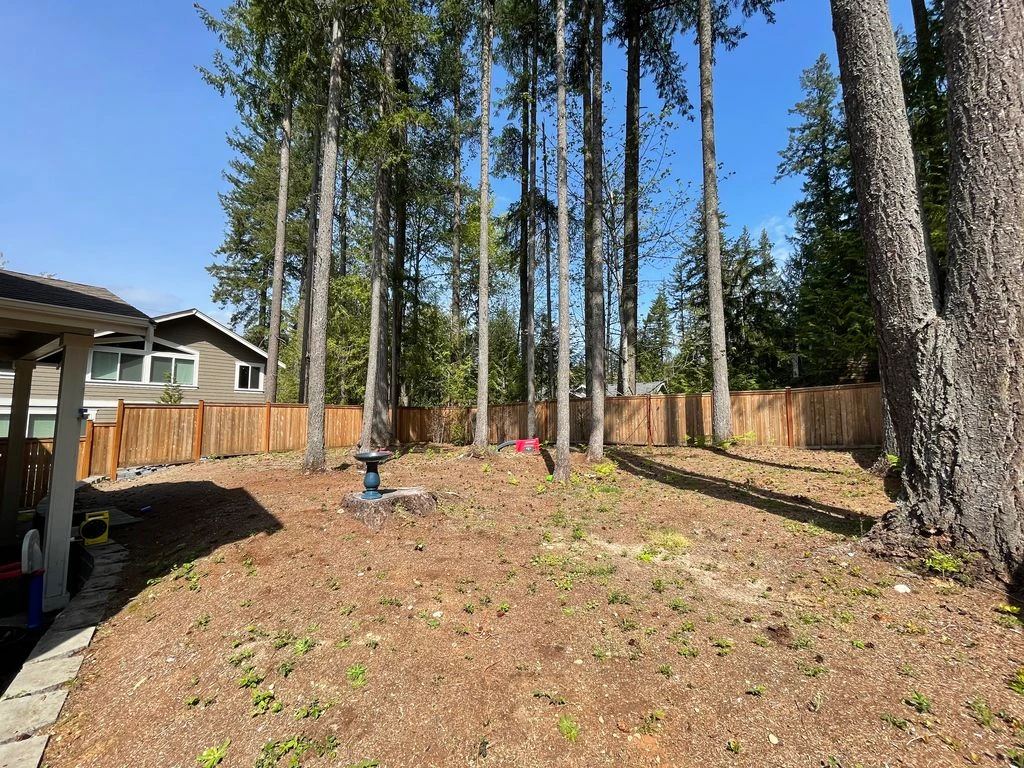 A Snoqualmie backyard before renovation, with bare dirt, tall trees, and a wooden fence.