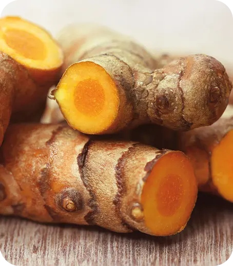 Turmeric Yellow natural pigment from Curcuma longa