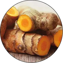 Turmeric Yellow