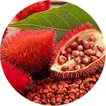 Annatto / Achiote Red-Orange