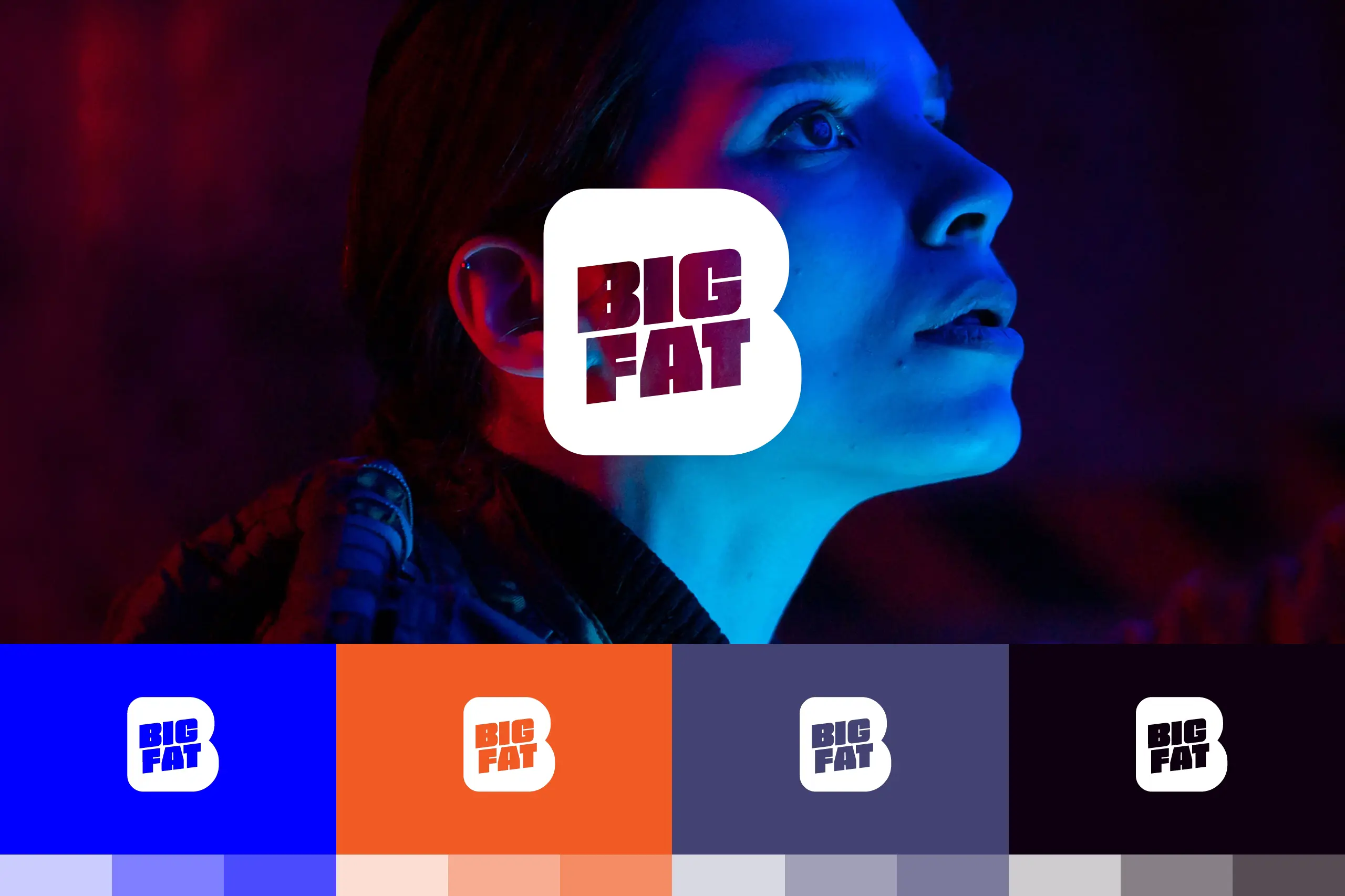 kleuren en logo van BIG FAT Internet door Coolbrand