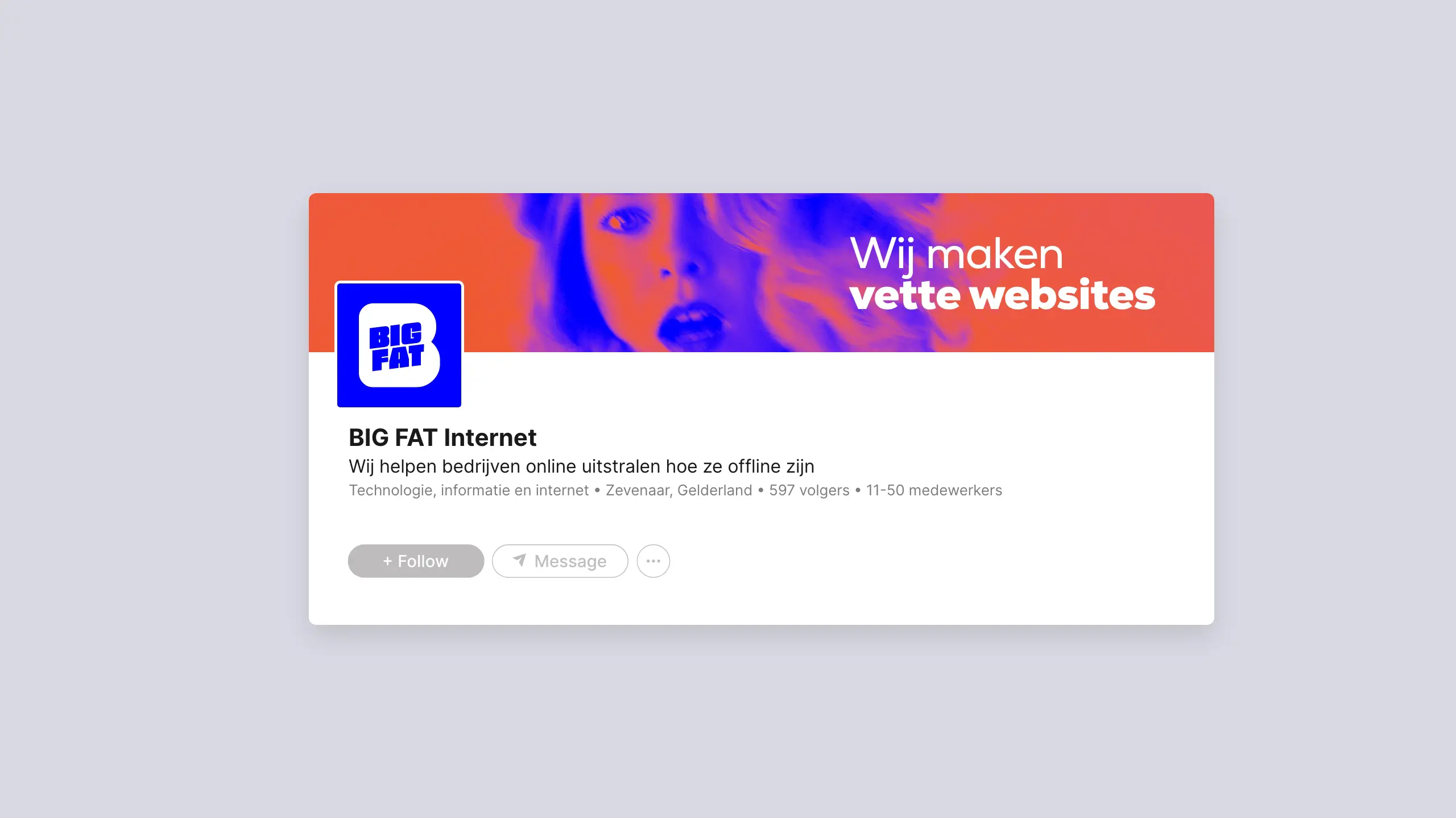 LinkedIn profiel in huisstijl van BIG FAT Internet door Coolbrand