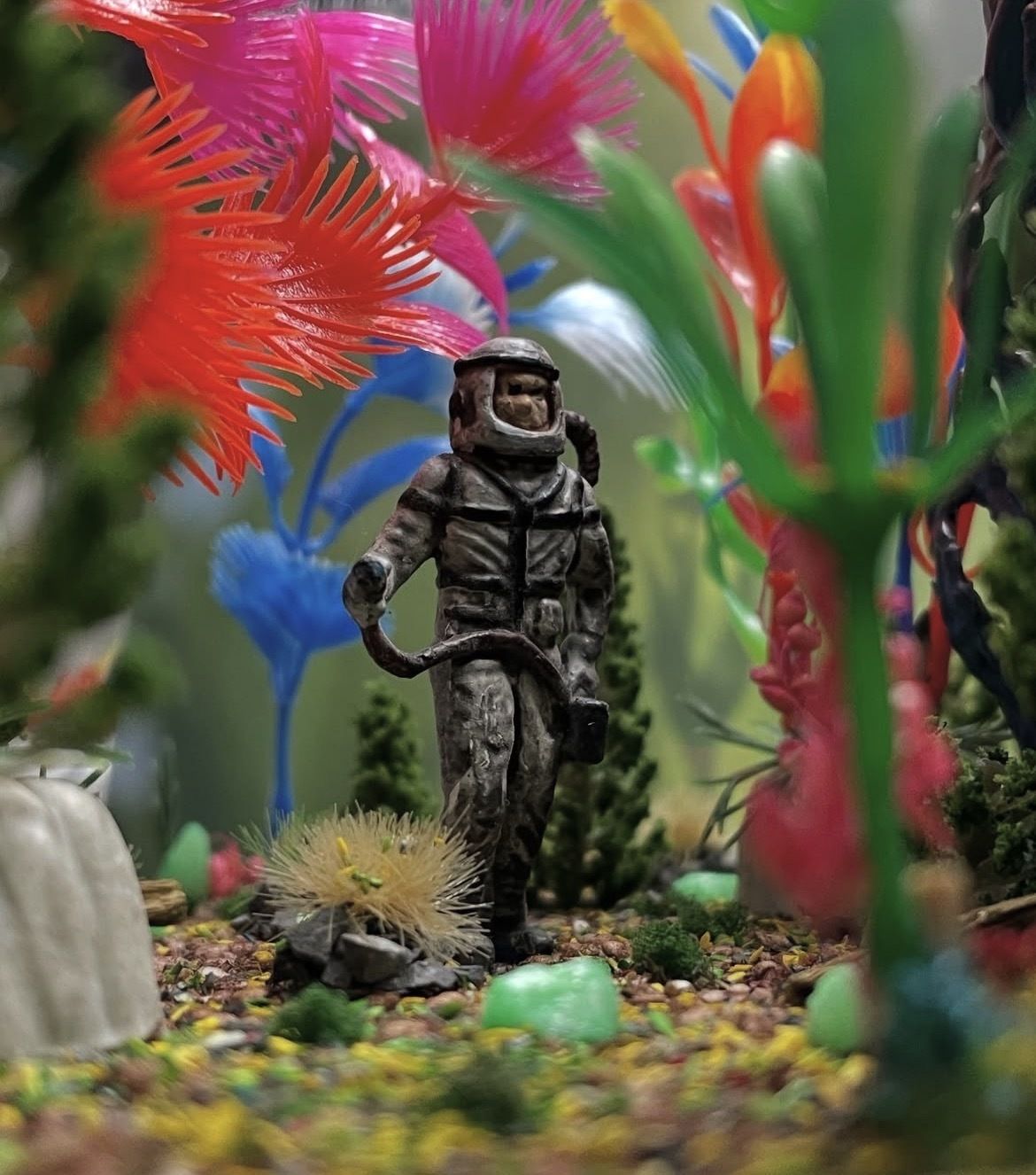 Space Oddity — Pierre-Charles Jacquemin