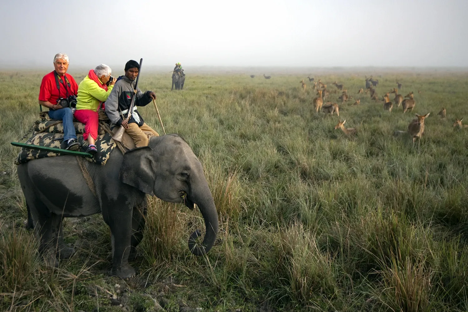 Inde, Assam, photovoyageurs à la recherche des rhinocéros unicornes dans le parc de Kaziranga
