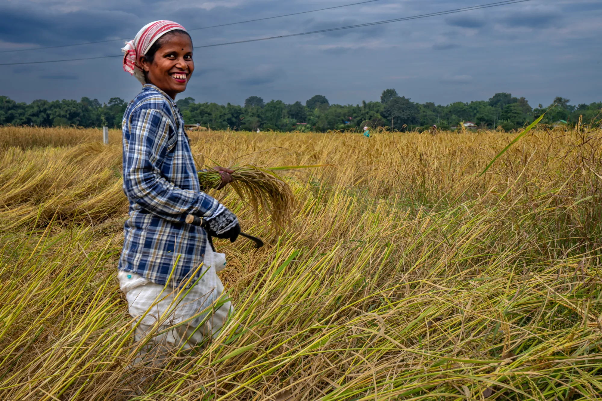 Vie rurale au bord du fleuve Brahmapoutre, Assam © Patrick Frilet