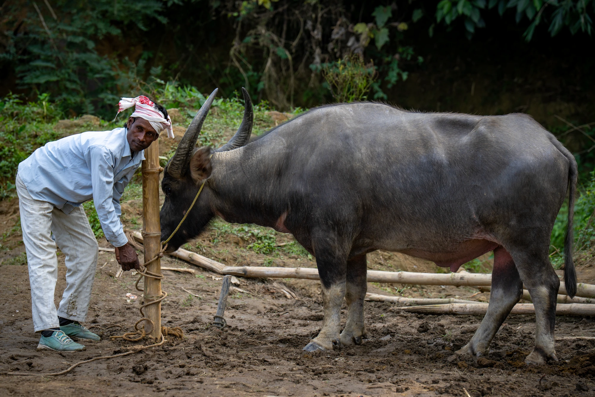 Villageois de l'Assam dans leur vie quotidienne © Patrick Frilet