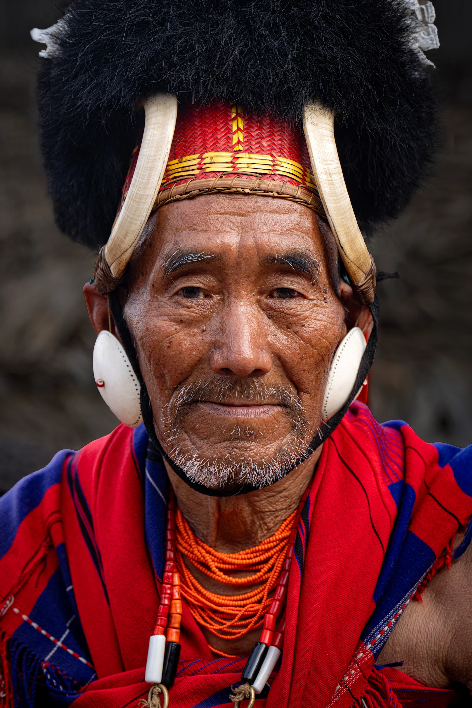 Inde, Nagaland, guerrier naga pendant la fête du Hornbill à Kohima