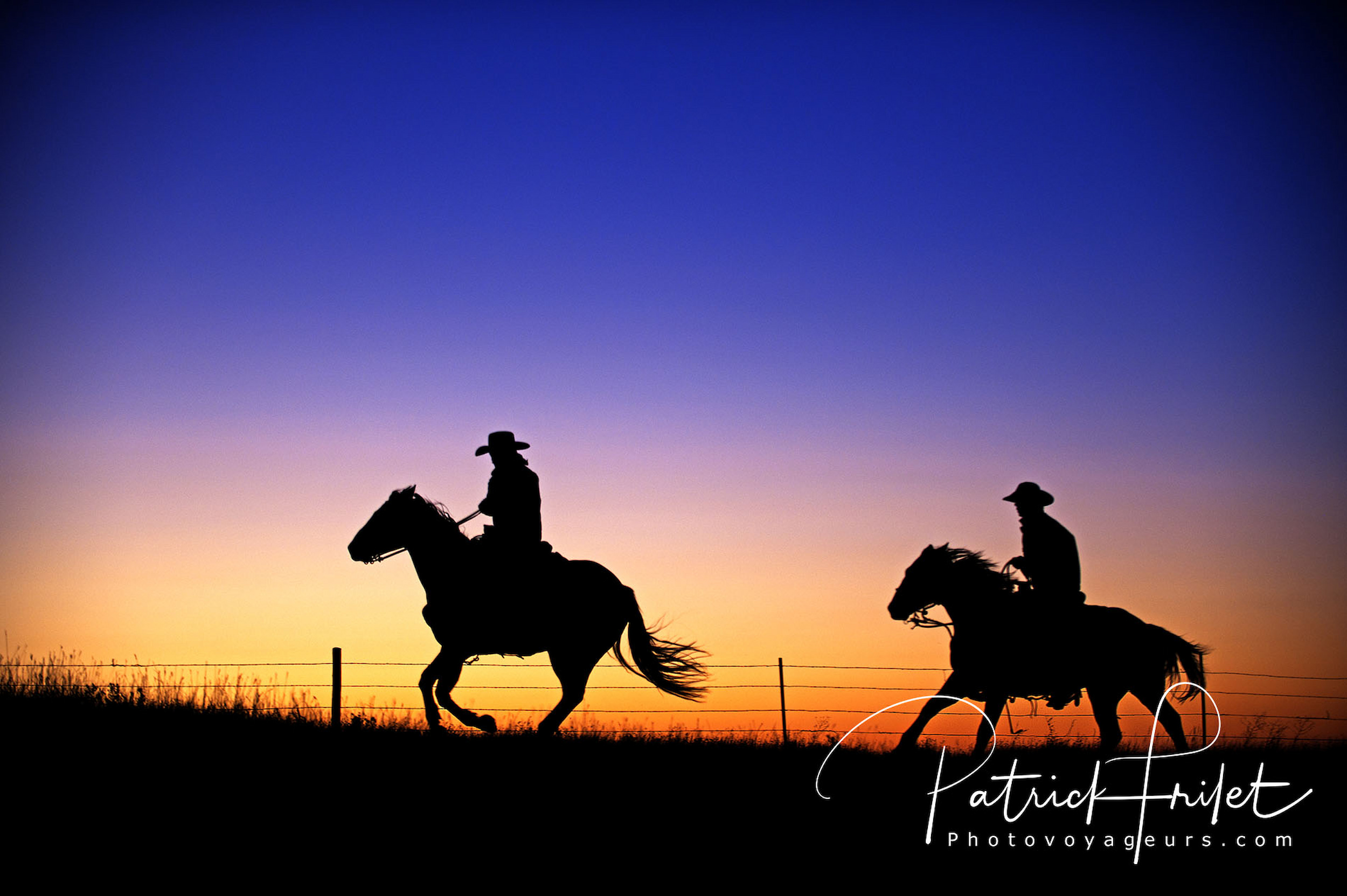 Etats Unis, Montana, cowboys partant s'occuper de leur troupeau