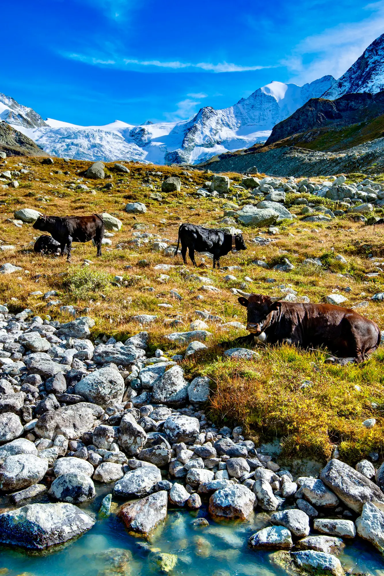 Suisse, Valais, le Val d'Anniviers et le glacier de Moiry