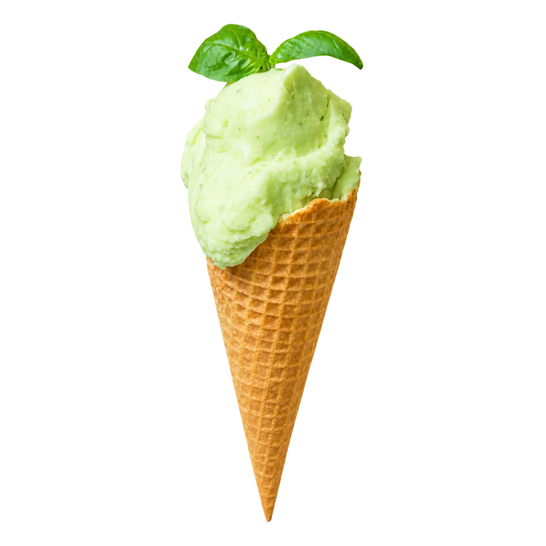 Waffle cone with pale green sorbet topped with two fresh basil leaves on black background.