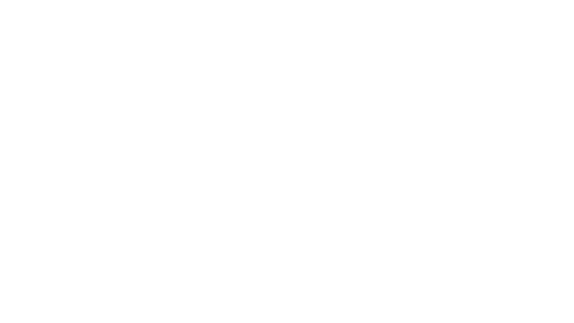 Schleswig-Holstein Netz AG Logo