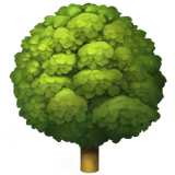 Illustration of a full, leafy green deciduous tree with a brown trunk.