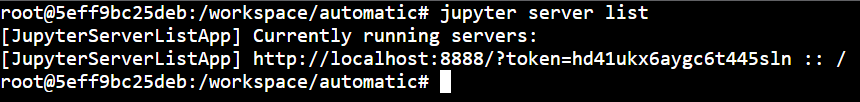Terminal output of jupyter server list showing the running server URL with its access token