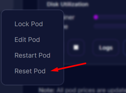 Reset Pod will clear container storage and download custom model