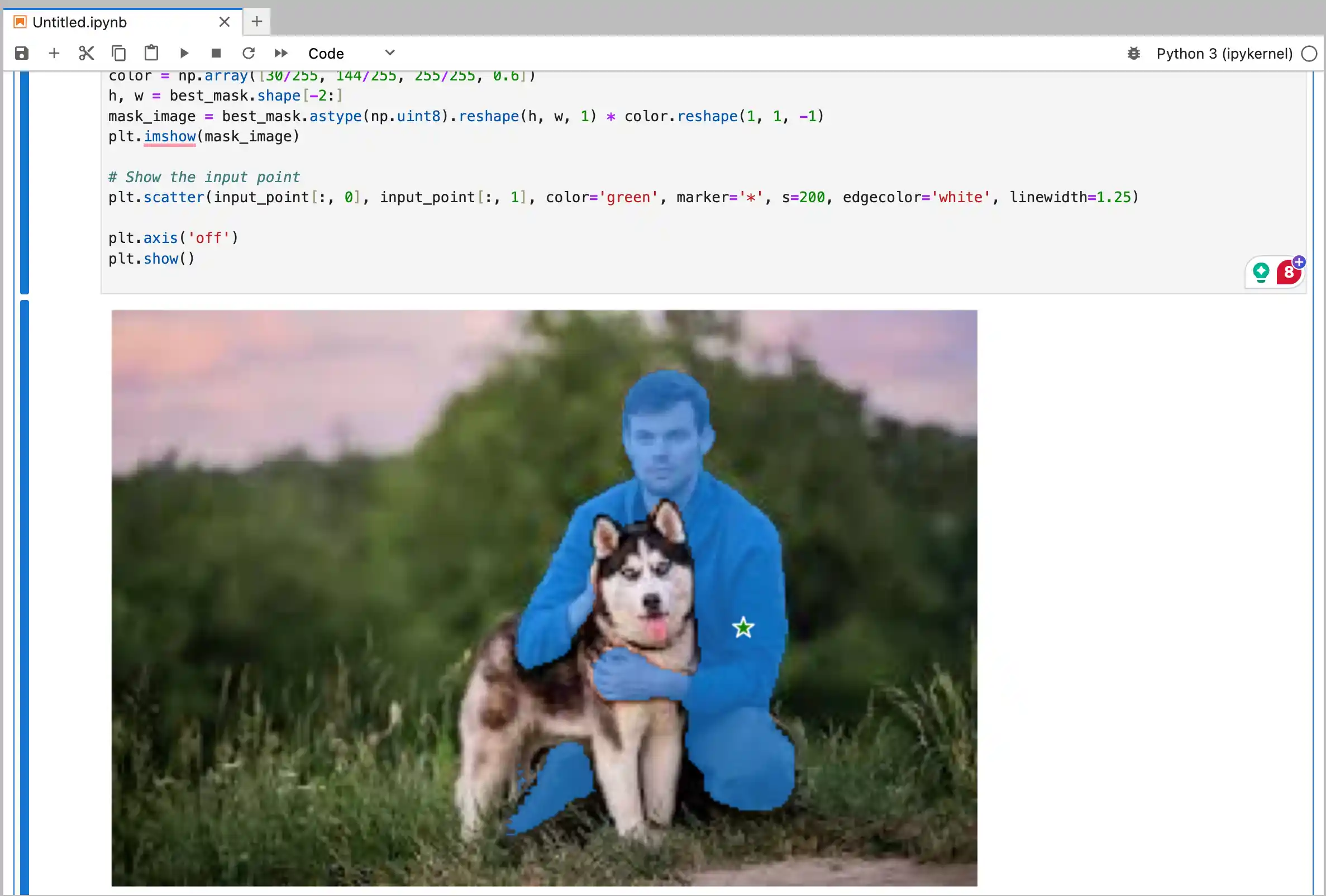SAM example jupyter notebook demo in How to Run SAM 2 on a Cloud GPU with Runpod