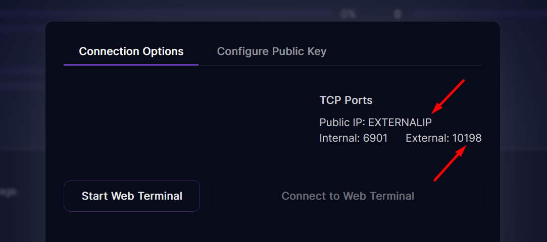Public IP and external port