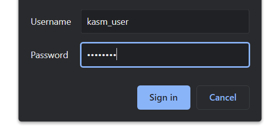 KasmVNC login window